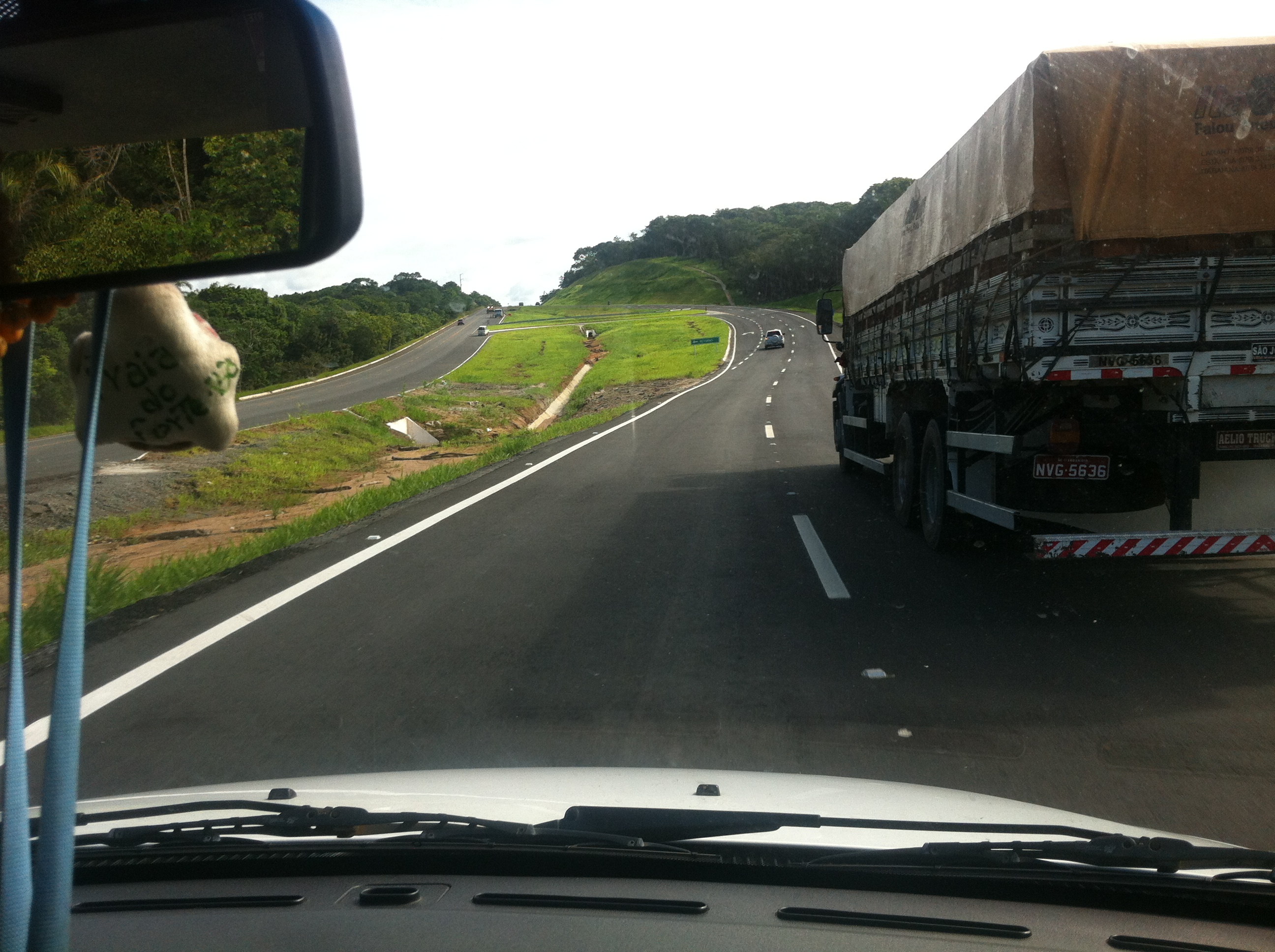 Operação da PRF recolhe 23 cavalos abandonados em rodovias do Recife e Zona  da Mata — Polícia Rodoviária Federal